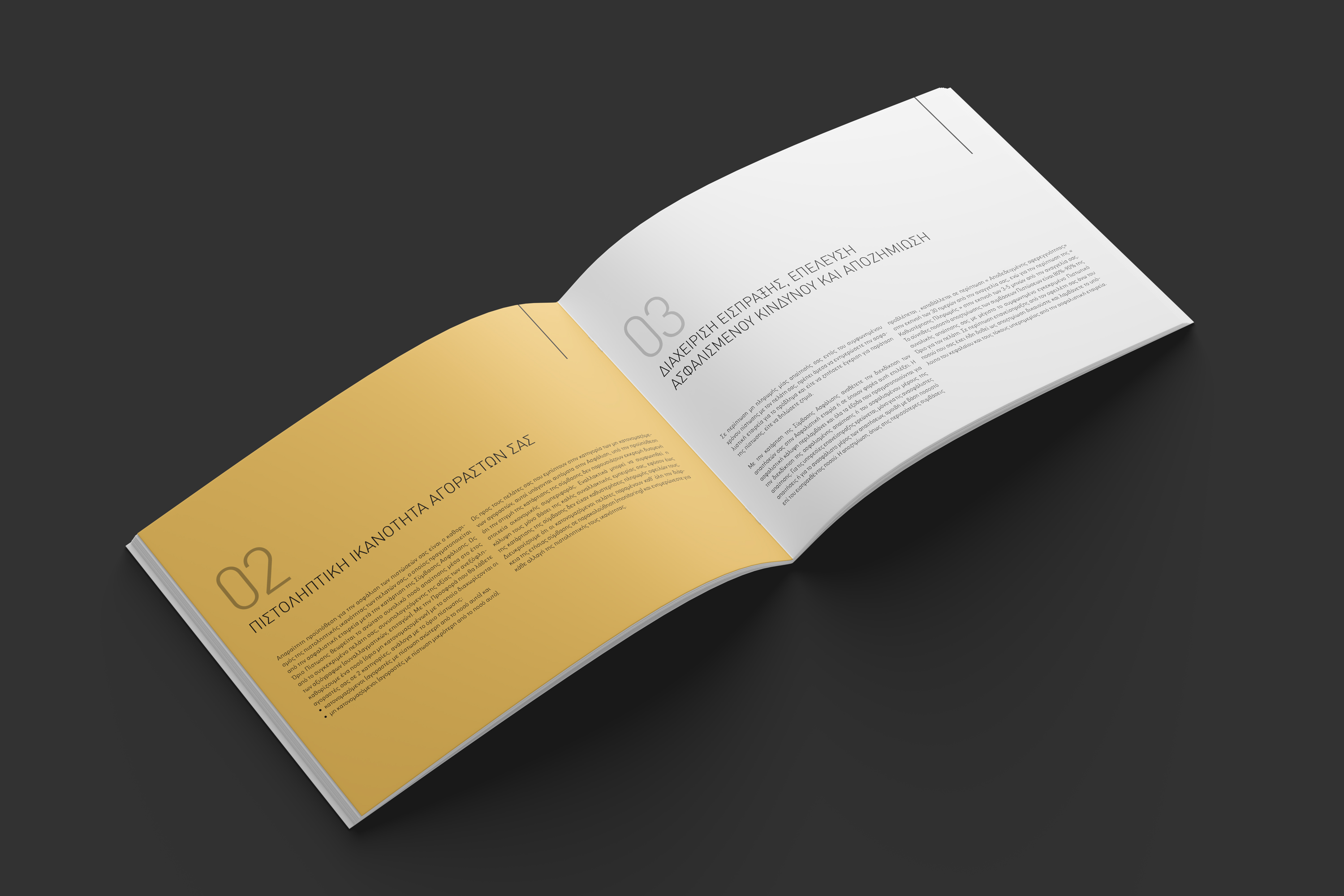 Thesis Brokers A4 Company Profile open spread