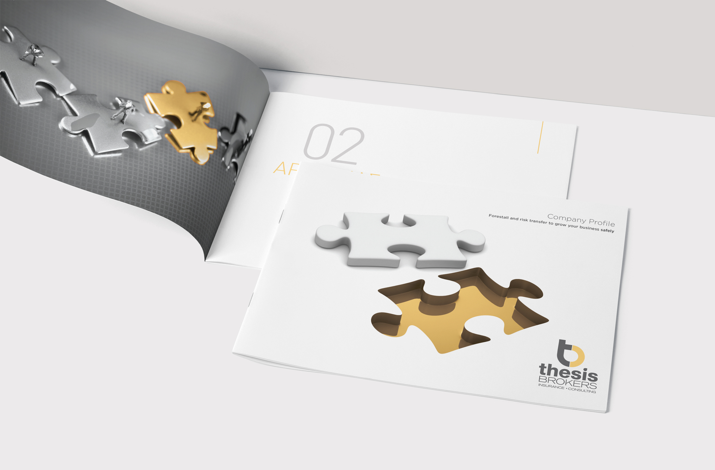 Thesis Brokers A4 Company Profile spread open and cover.